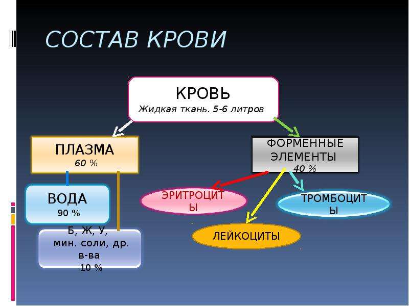 Презентация 8 класс внутренняя. Функции крови кластер. Кластер состав крови. Кластер по теме кровь. Кластер по теме кровь человека.