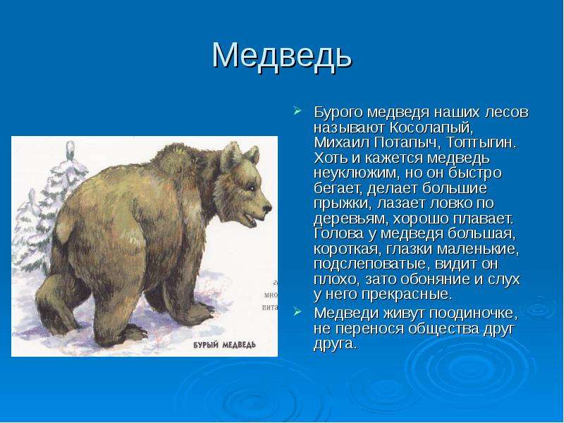 Огромный медведь страшен и неуклюж схема предложения - 98 фото