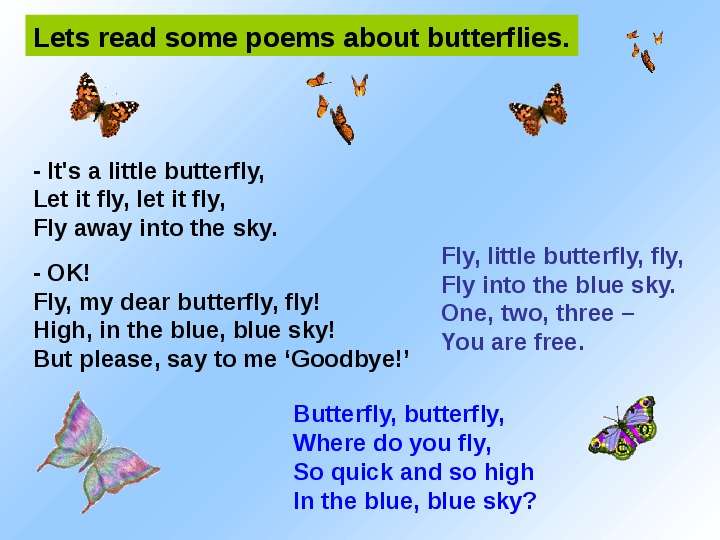 Презентация к уроку английского языка "Butterfly Life Cycle" - , слайд №13