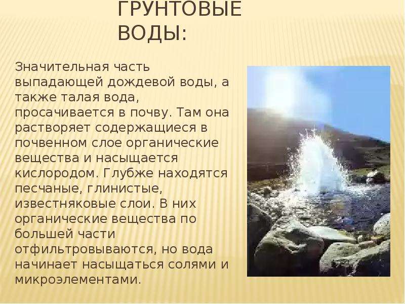 Экология водной среды презентация