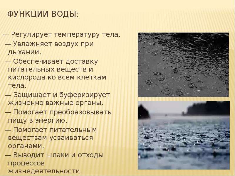 Экология водной среды презентация