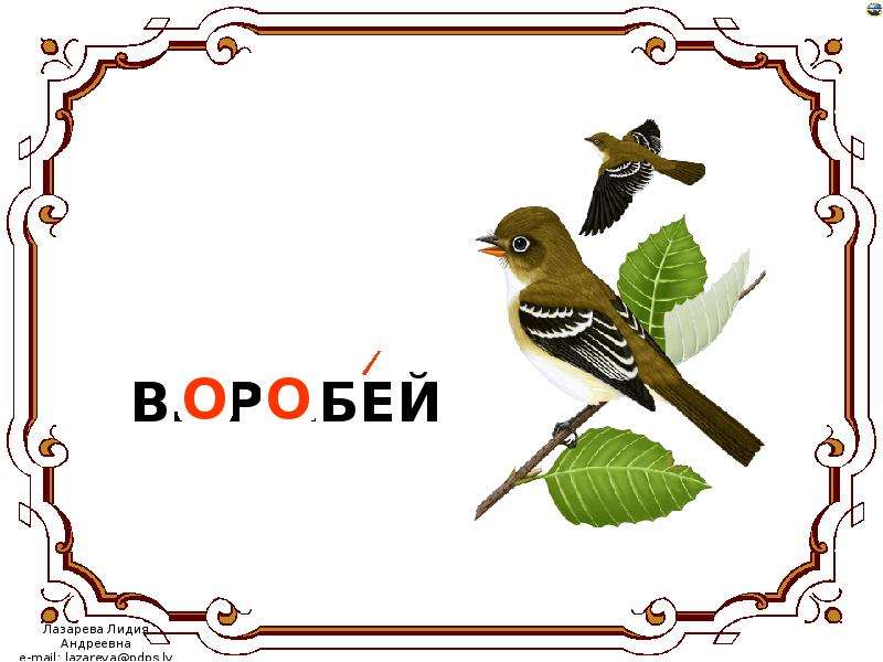 Воробей словарное слово или нет. Словарное слово Воробей в картинках. Проект словарное слово Воробей. Воробей словарное слово 1 класс. Рассказ о слове Воробей.