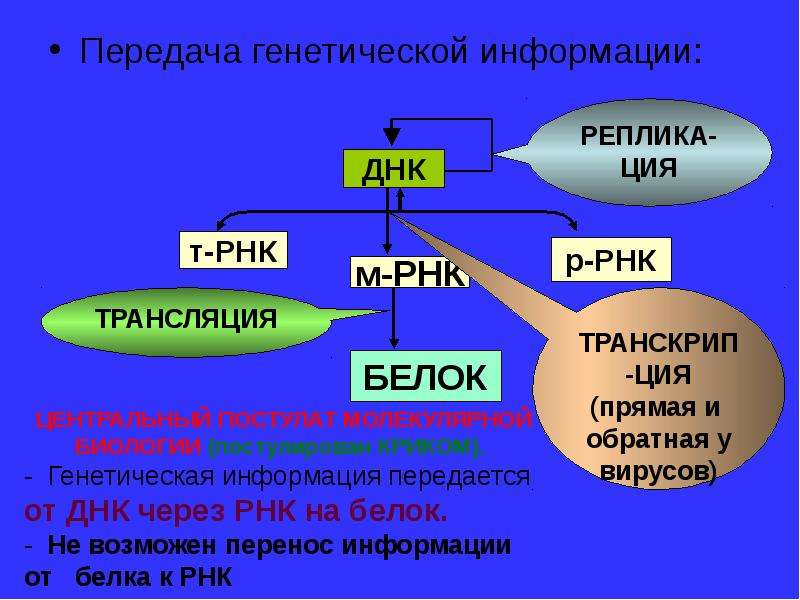 Обеспечивают передачу наследственной информации. Передача генетической информации. Механизм передачи наследственной информации. Как передается наследственная информация. Механизмы передачи генетической информации.