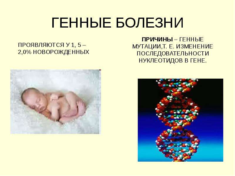 Мутации биология презентация