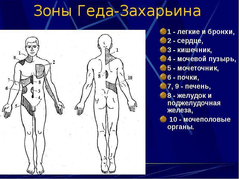 Зоны захарьина геда на стопе схема