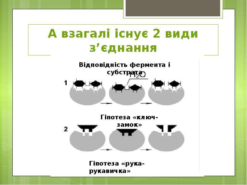 Види з. Види 2. Взагалі. Види параныхие.