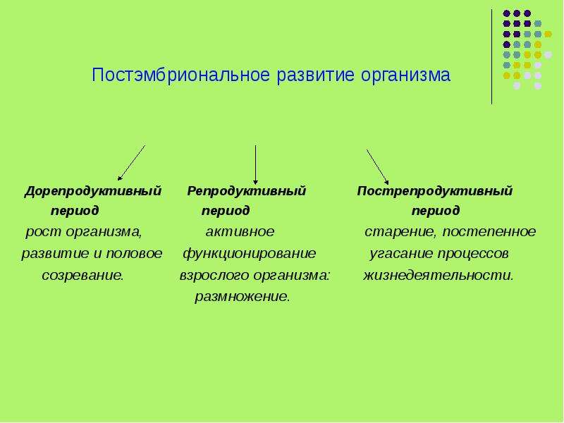 Презентация постэмбриональное развитие 10 класс профильный уровень