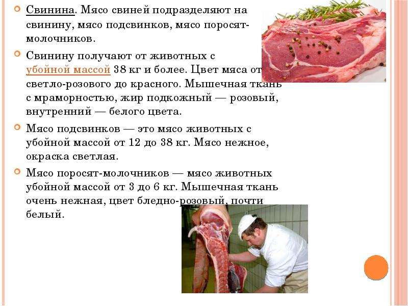 Презентация на тему Мясо и мясные продукты, слайд №16