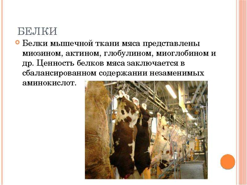 Презентация на тему Мясо и мясные продукты, слайд №3