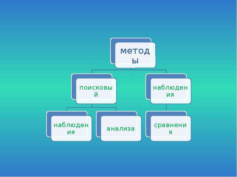 Проект настоящее