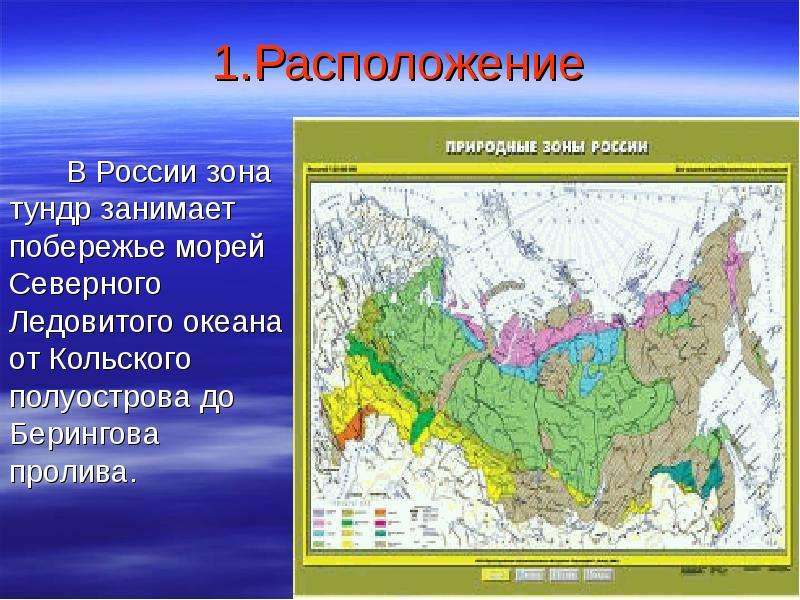 Тундра схема природной зоны