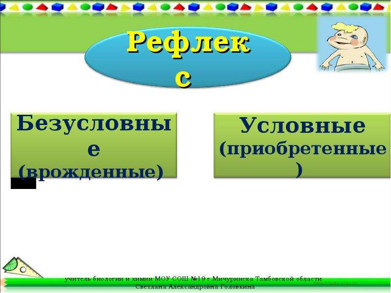 Биология 8 класс рефлексы презентация 8 класс