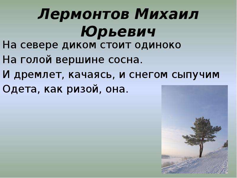 В хорошую погоду лес клубился шапками сосновых вершин а в непогоду схема