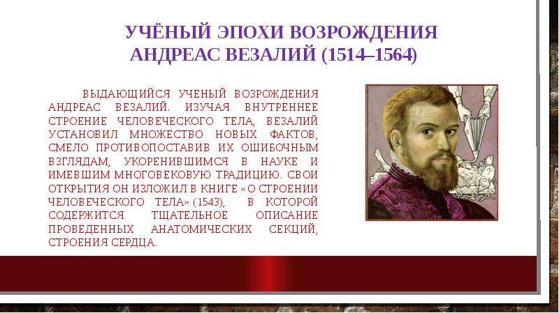 Ученые эпохи возрождения биология. Андреас Везалий (1514-1564). Ученые эпохи Возрождения. Ученыеэпохе Возрождения. Андреас Везалий сердце.