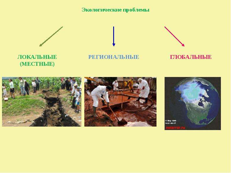 Презентация Экология и экологическая безопасность , слайд №8
