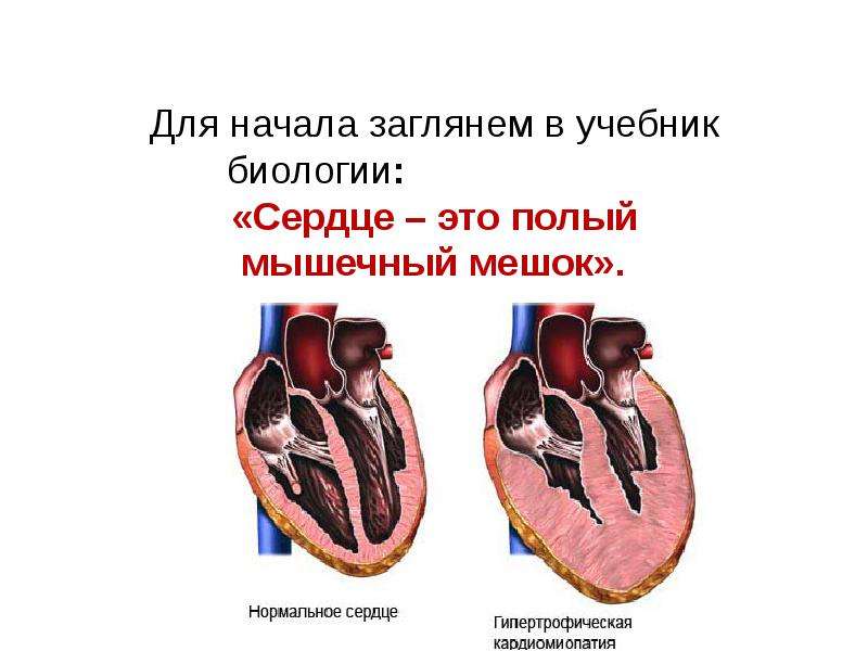 Полый это. Сердце биология. Готовый проект на тему сердце. Биология сердца книга.