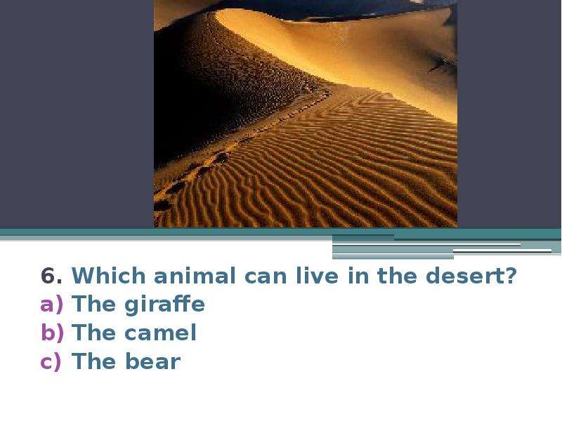 6. Which animal can live in the desert? The giraffe The camel The bear