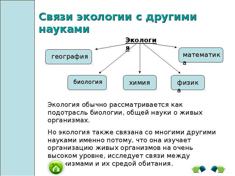 Проект обществознание экология