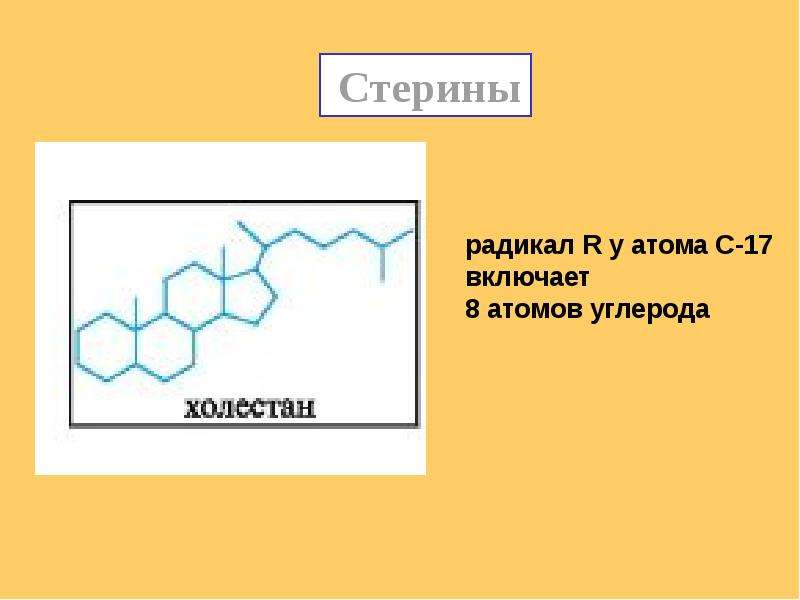 Презентация по химии стероиды