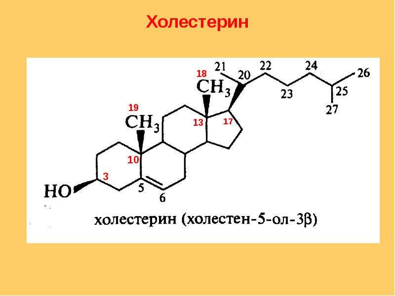 Презентация по химии стероиды