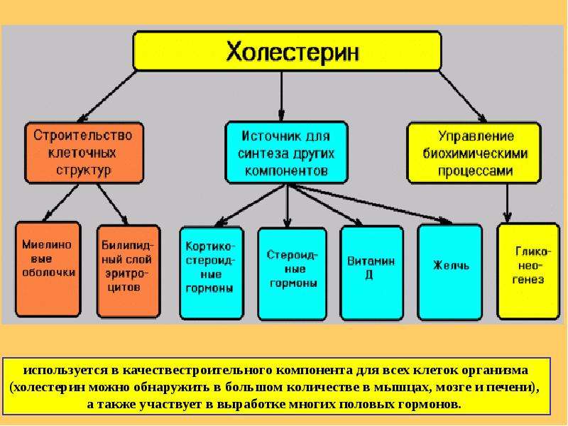 Презентация по химии стероиды