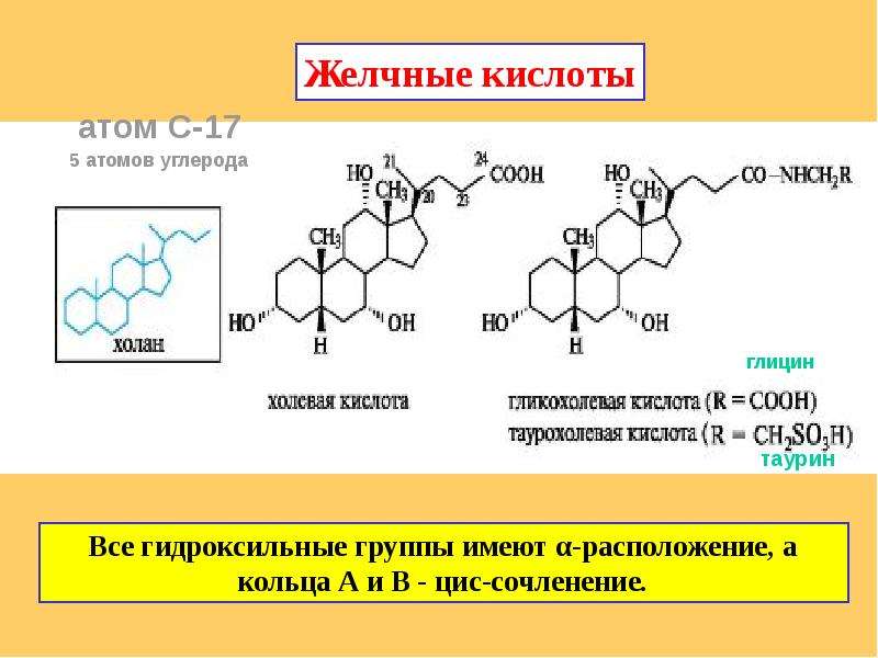 Кислота атом. Желчные кислоты производные Холана. Холевая кислота стероид. Холевая кислота и таурин. Холевая кислота и глицин.