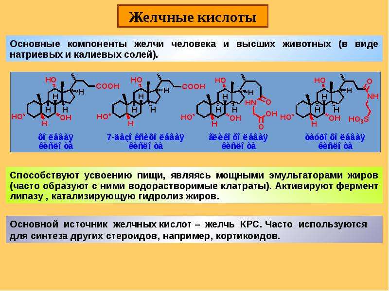 Презентация по химии стероиды