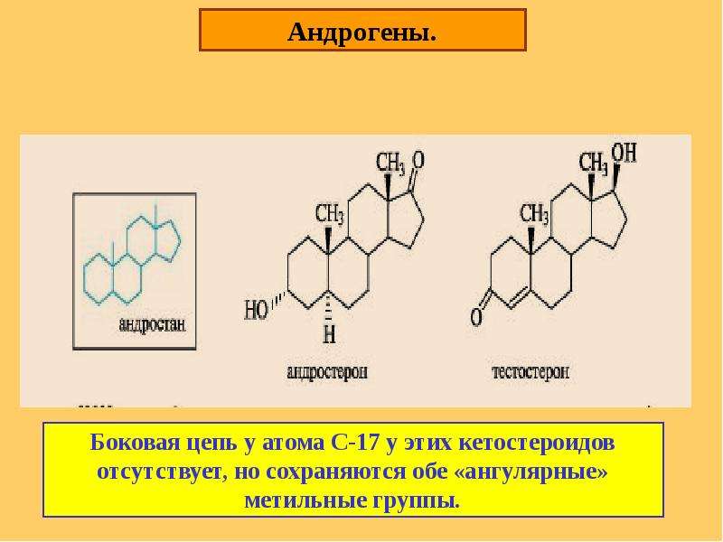 Презентация по химии стероиды