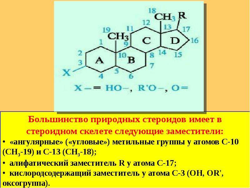 Презентация по химии стероиды