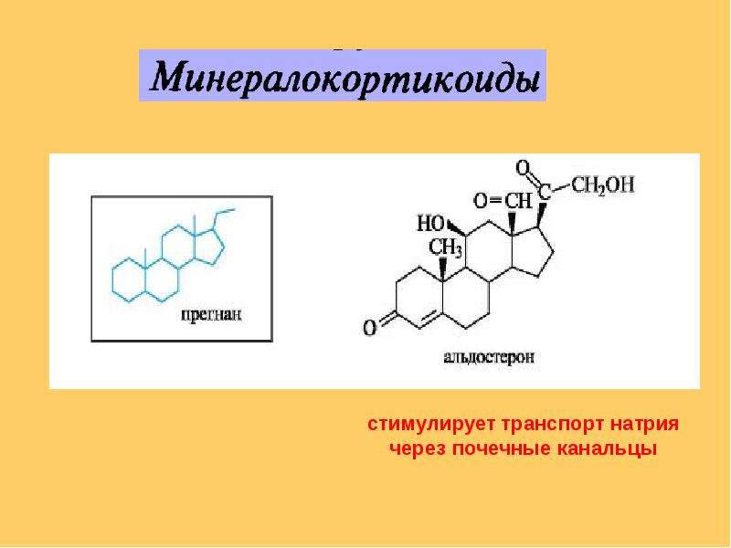 Презентация по химии стероиды