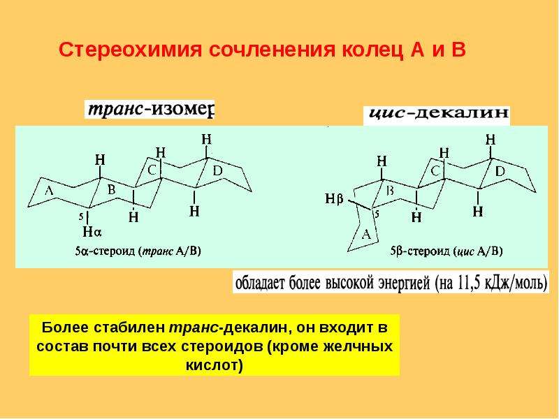 Презентация по химии стероиды