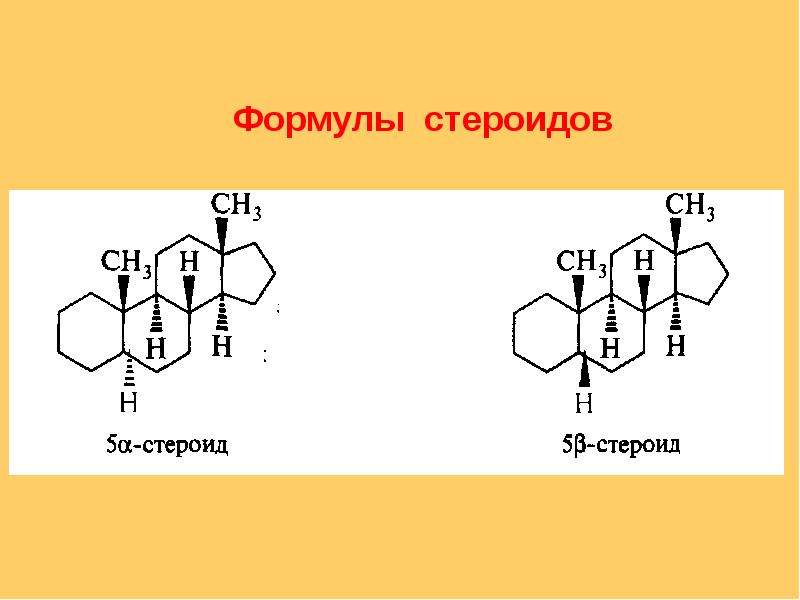 Презентация по химии стероиды