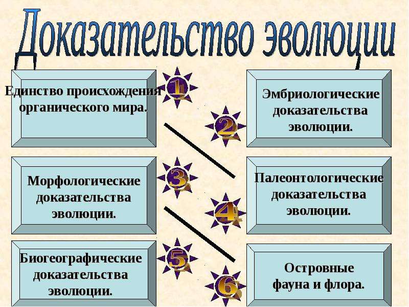 Доказательство эволюции органического. Доказательства эволюции органического мира. Доказательства эволюции органического мира морфологические. Доказательства единства происхождения органического мира. Доказательство эволюции биология кратко.