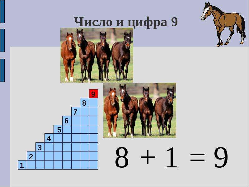 5 7 8 вид. Цифры и числа. Число и цифра 9. Число 9 1 класс. Число и цифра 9 презентация.