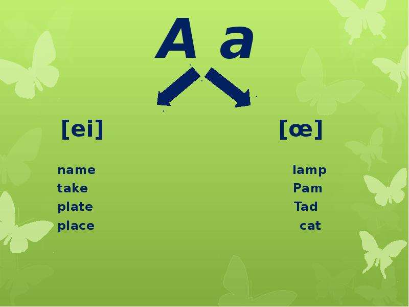 Take name. My animals 2 кл самостоят. Cat place звуки английские Aai.