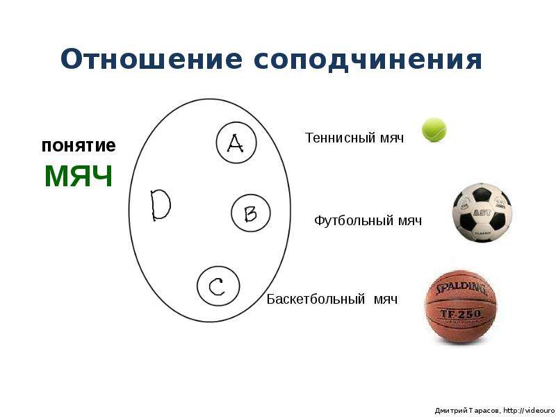 7 1 2 понятие и. Соподчинение понятий в логике. Соподчиненное понятие в логике. Соподчиненные понятия в логике примеры. Отношение соподчинения.