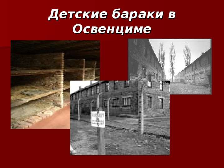 


Детские бараки в Освенциме
