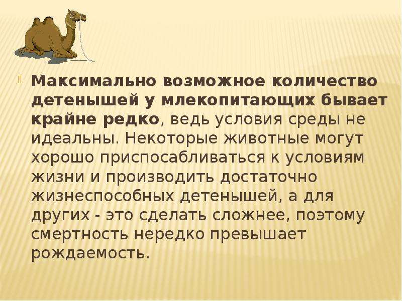 На диаграмме показаны сколько детенышей родилось. Количество детенышей. Количество потомства у млекопитающих. Среднее количество детенышей у животных. Таблица животные в жизненной жизни количество детенышей.