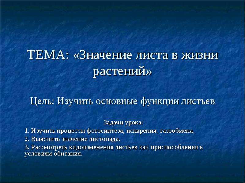 Задача листьев. Значение листа для растения. Функция листа в жизни растений. Значение листа в жизни растения. Значение листьев в жизни растений.