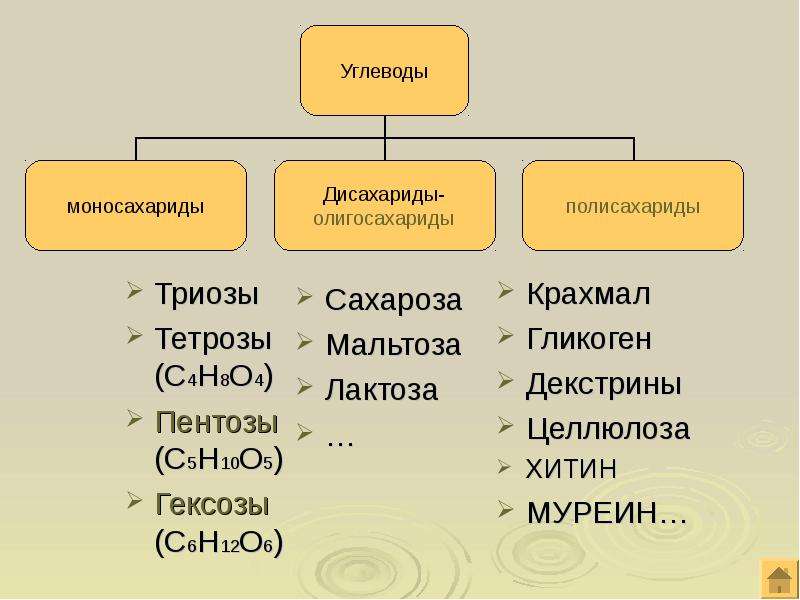 Химический состав клетки углеводы презентация