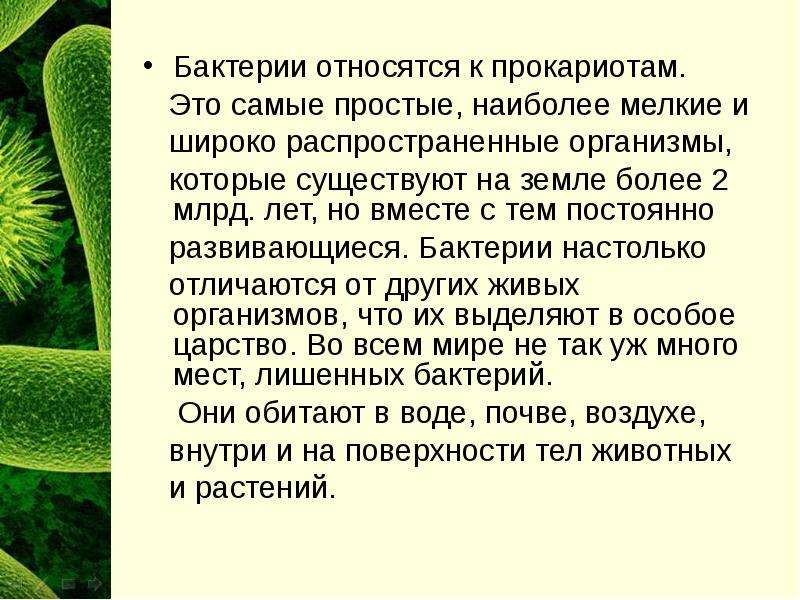 Какой из указанных на рисунке объектов относится к прокариотам