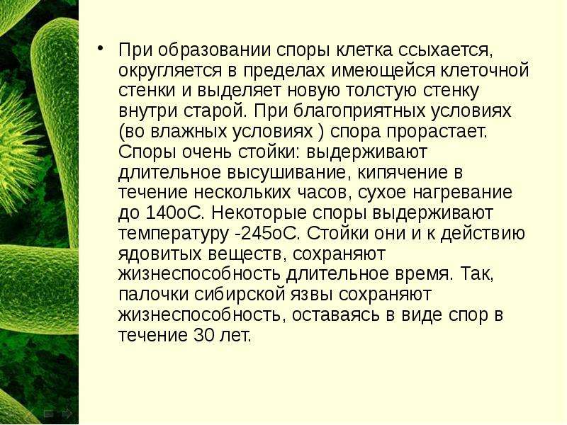 Презентация на тему царство. Прокариоты – это … К прокариотам относятся 3 подцарства. Подцарство кактуса. Прокариоты ,это Флора или фауна. Сколько Царств относиться к прокариотам.