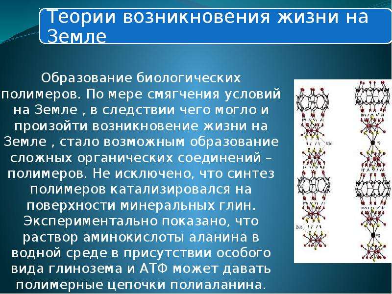 Образована биология. Образование биологических полимеров. Три типа биологических полимеров.