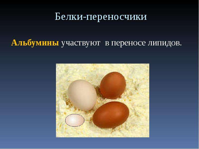 Куриный белок детям. Яйца белки. Куриный белок альбумин. Альбумин куриного белка.