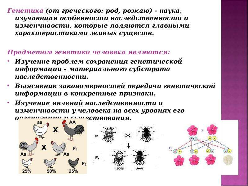 Методы изучения наследственности и изменчивости человека в норме и патологии презентация