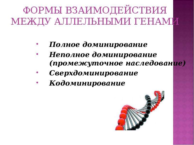 Взаимодействие генов полное доминирование. Формы взаимодействия между генами. Взаимодействие аллельных генов полное доминирование. Формы взаимодействия аллельных генов. Доминирование в форме.