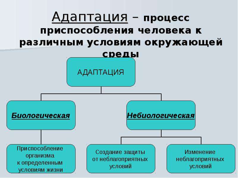 Презентация адаптация человека к среде обитания