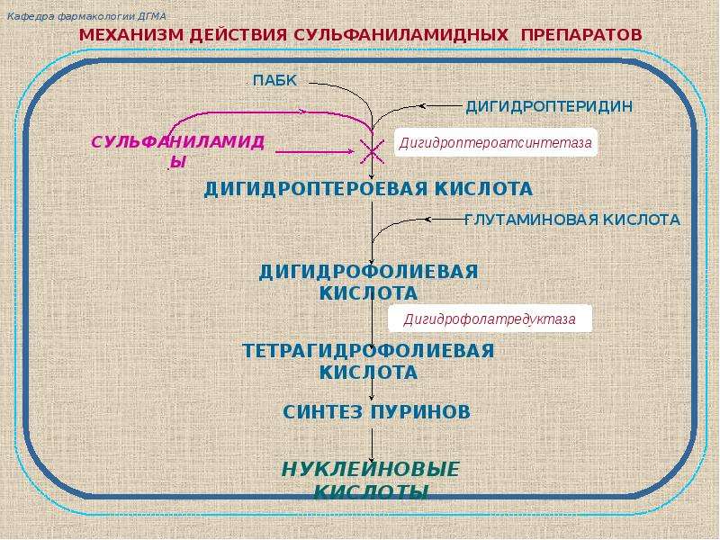 Фармакология в схемах и таблицах том 1