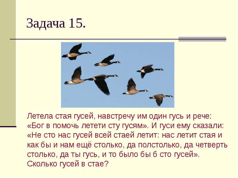 Летела стая. Стая гусей летит. Задача про гусей. Летела стая гусей один Гусь. Задача про гусей летела стая.