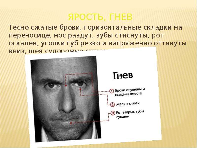 Презентация на тему гнев